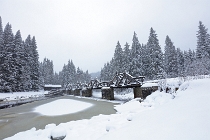 SumavaCervenaUnor2026 - 007